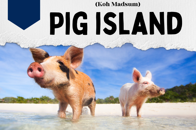 Pig island (Koh Madsum)