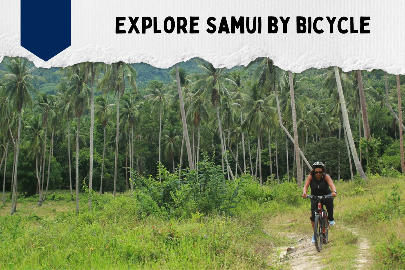 Explore Samui by bicycle