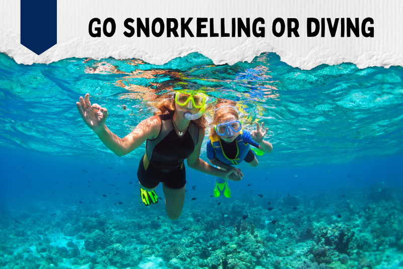 Go snorkelling or diving