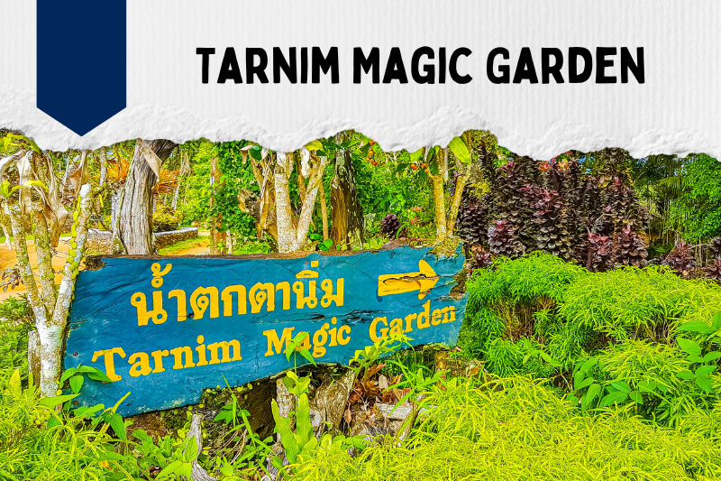 Tarnim Magic Garden