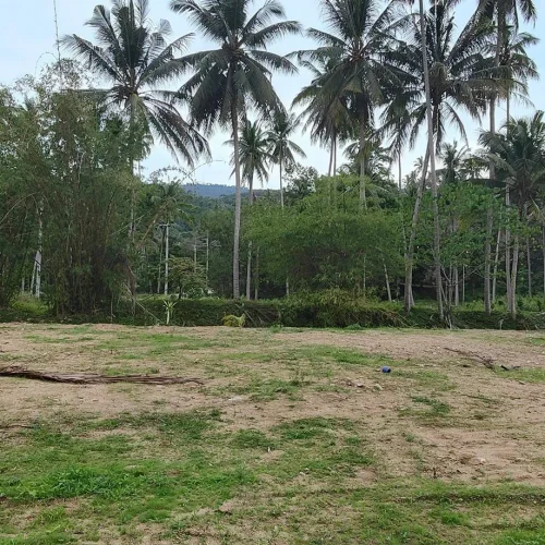 Plot Land for sale – Lamai