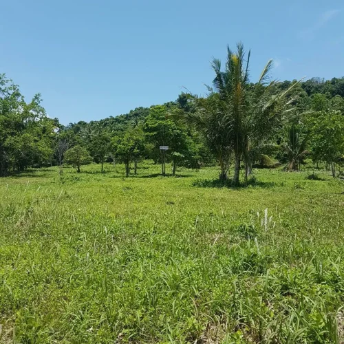 Land for sale – Maenam 1