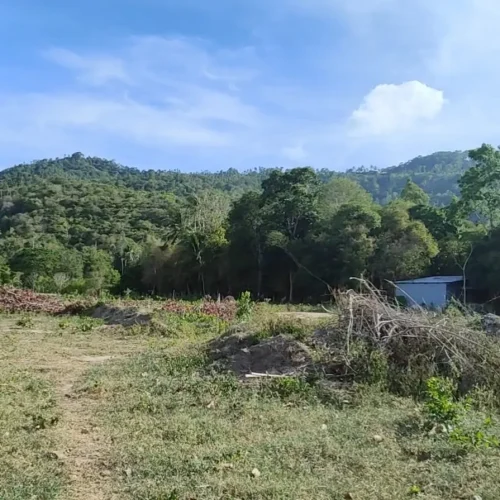 Plot Land for sale Chaweng