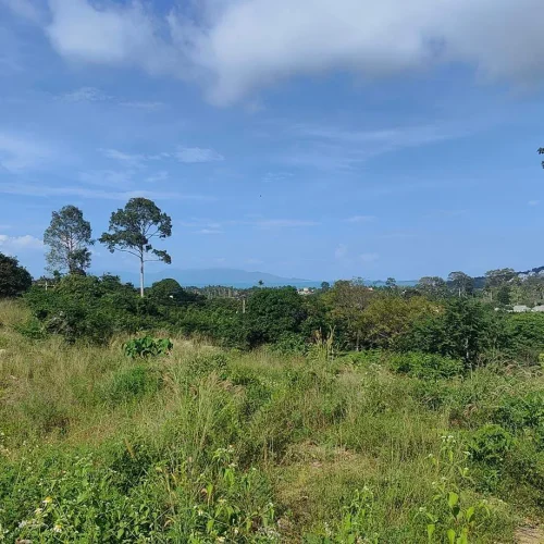 Plot Land for sale Bophut